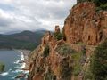 corse 029
